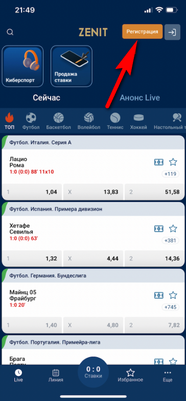 рис.1.png