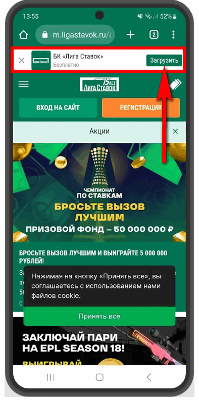рис.1.png