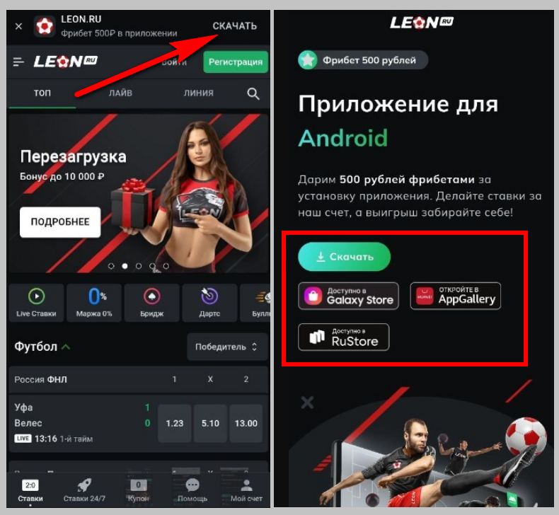 LeonReg (1).png