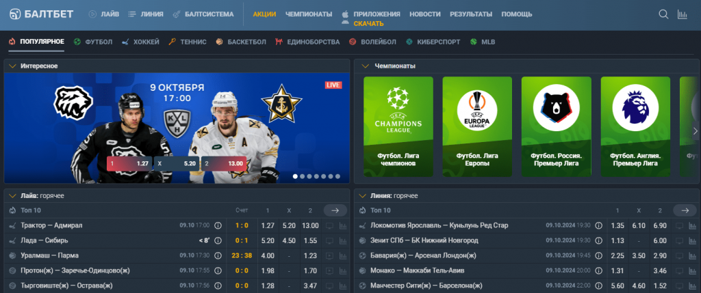 изображение_2024-10-09_181930509-min.png