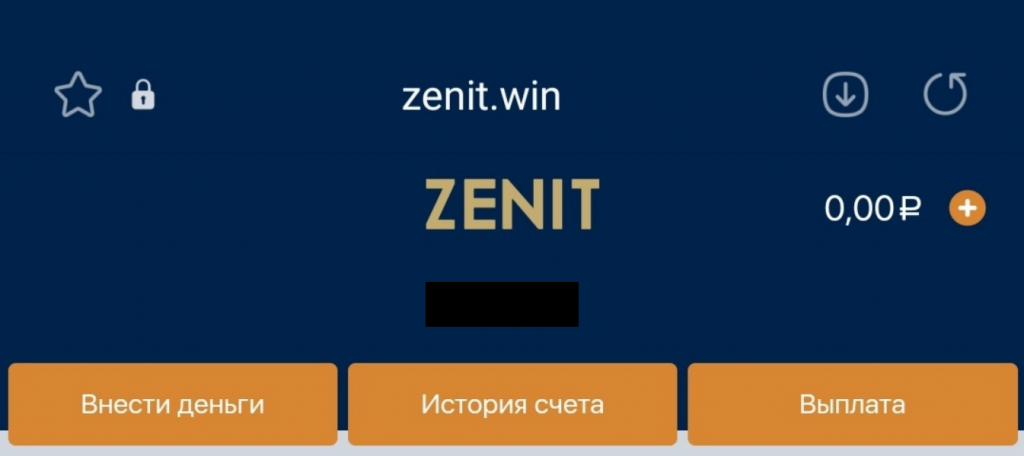 ObzorZenit4