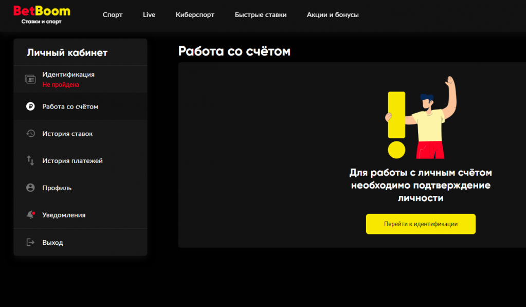 ObzorBetboom11